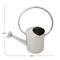 Hello Honey® One Gallon Stainless Steel Watering Can with Nickel Finish